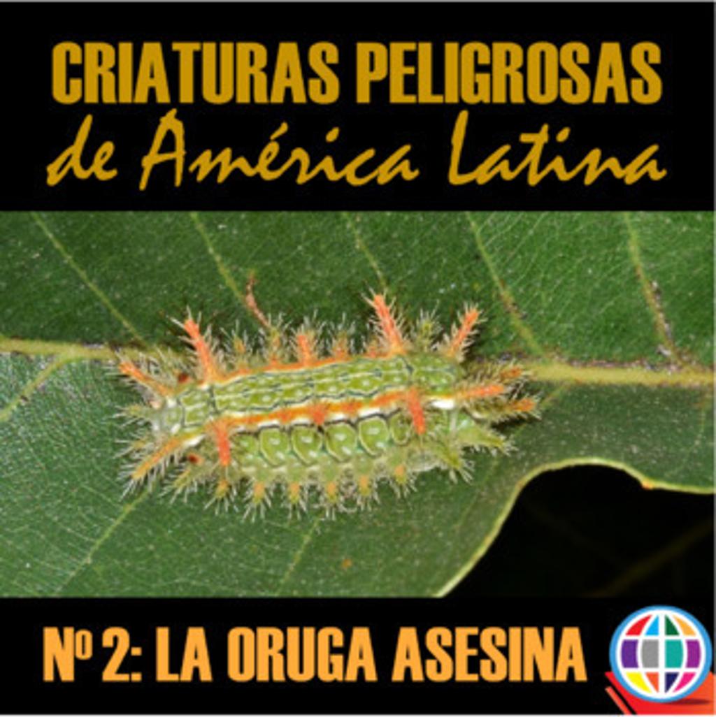 Criaturas Peligrosas de América Latina No 2 Oruga Asesina 3580256 1