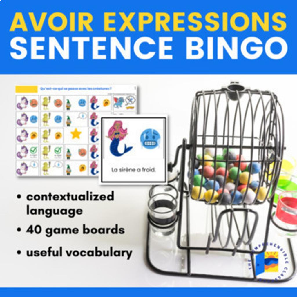 Avoir Expressions Sentence Bingo 8427289 1