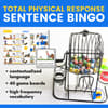 TPR Sentence Bingo in French Cover 8441248 1