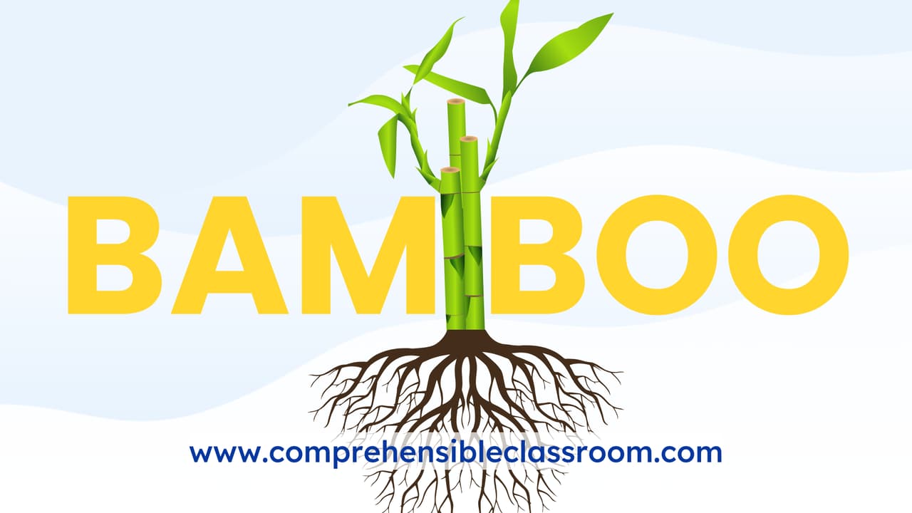 Bamboo