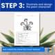 French Build a Plant9