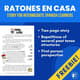 Ratones en casa