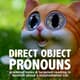 Direct Object Pronouns grammar reading 1140665 1