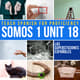 Somos 1 Unit 18 Las Supersticiones Españoles cover 1343198 1