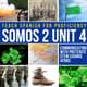 Somos 2 Unit 4 Preterite Stem Change verbs cover 2080014 1