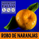 Robo de Naranjas Noticias Falsas 3634375 1