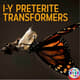 I-Y Preterite Transformers Grammar Notes Cover 663319 1