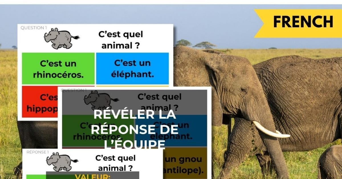 The Comprehensible Classroom | The Unfair Game® in French | il y a,…
