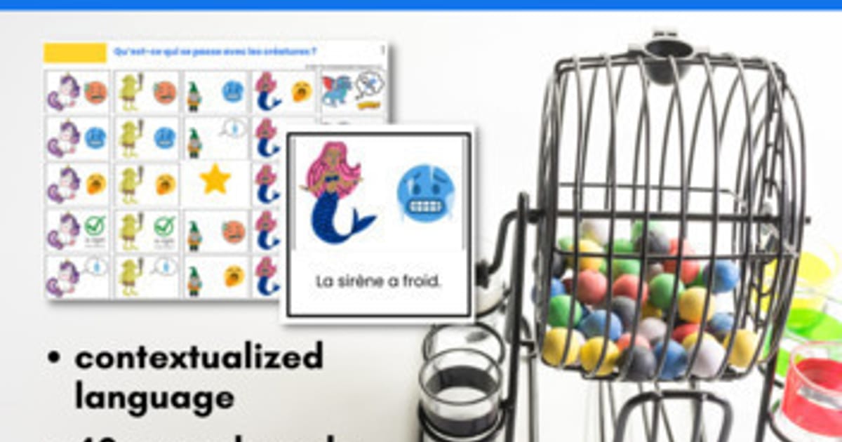 The Comprehensible Classroom | Avoir expressions Sentence Bingo